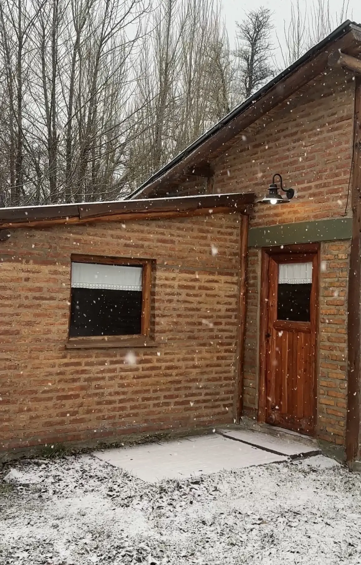 Nido Patagónico rodeado por álamos durante una nevada